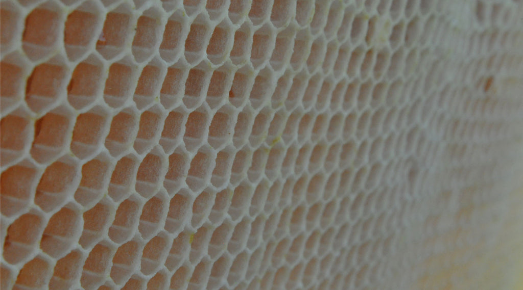 Bohman Bee Company photo 23