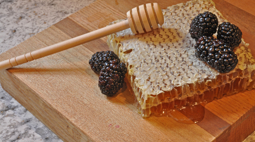 Bohman Bee Company photo 26